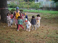 2008-10-27 (Mon) ̉摜