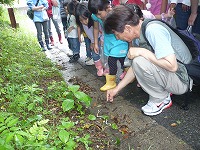 2010-06-27 (Sun) ̉摜