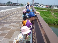 2011-07-25 (Mon) ̉摜