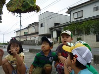 2011-09-14 (Wed) ̉摜