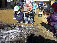 2012-01-24 (Tue) ̉摜