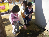 2012-03-12 (Mon) ̉摜