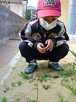 2012-04-21 (Sat) ̉摜