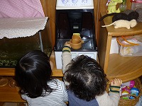 2012-04-23 (Mon) ̉摜