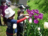 2012-05-12 (Sat) ̉摜