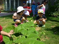 2012-08-27 (Mon) ̉摜