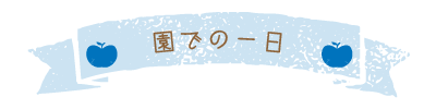 一日の流れ