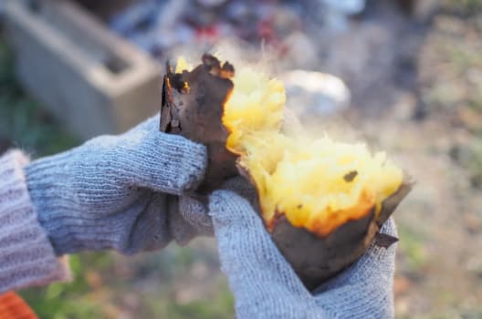 焼き芋