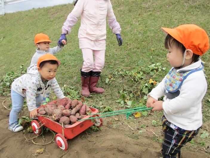 芋掘り遠足