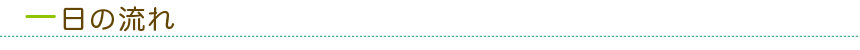 一日の流れ