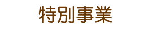 特別事業