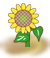 s\