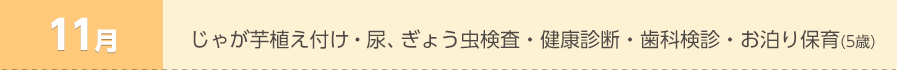 11月 ・じゃが芋植え付け・尿、ぎょう虫検査・健康診断・歯科検診・お泊り保育（５歳）