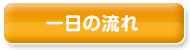 一日の流れ