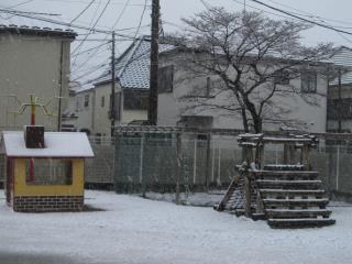 131-1.jpg
