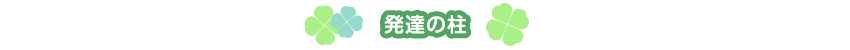 発達の柱