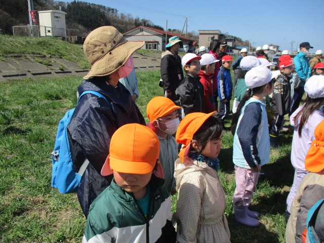 201-2.jpg