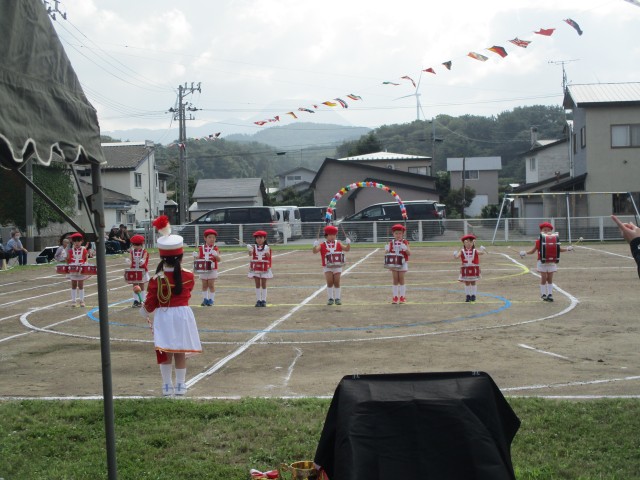 221-2.jpg