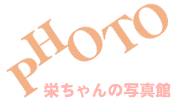 h̎ʐ^