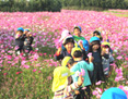 認定こども園 田代こども園 年間行事 写真