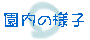 ̗lq