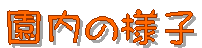 ̗lq