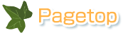 pagetop