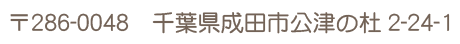 千葉県成田市公津の杜2-24-1